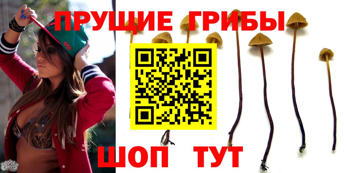 Лянтор  сколько стоит  Псилоцибиновые грибы Cubensis  Вход с VPN  Галлюциногенные грибы Psilocybe 